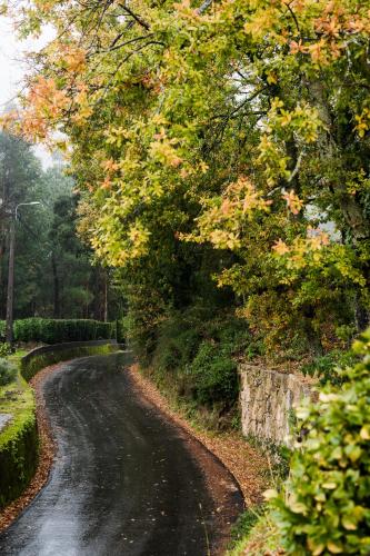 a dirt road with trees on the side at Vinte-Quinta da Boavista in Ponte de Lima