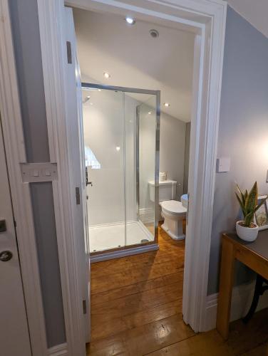 a bathroom with a shower and a toilet at Banks Rooms - Minster, Isle of Sheppey in Minster