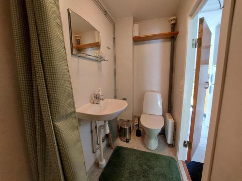 a small bathroom with a sink and a toilet at Stuga i Ekestad in Kristianstad