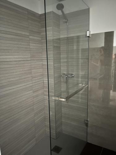 eine Dusche mit Glastür im Badezimmer in der Unterkunft Coello 31 in Jaén