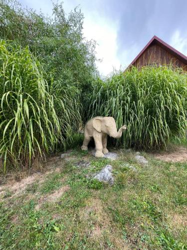 Ein kleiner Elefant steht im Gras in der Unterkunft Chaty Podhradi nad Dyji in Podhradí nad Dyjí