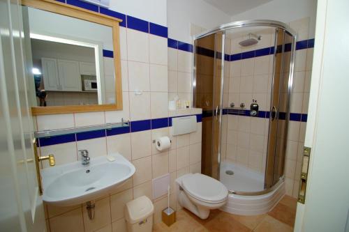 een badkamer met een wastafel, een toilet en een douche bij HAMR Apartmány in Nové Hamry