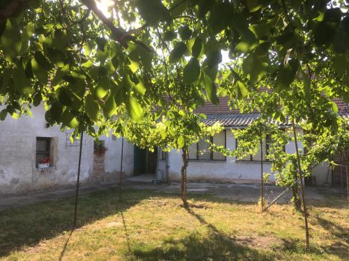 a house with trees in front of it at Chalupa Žofka in Brod nad Dyjí
