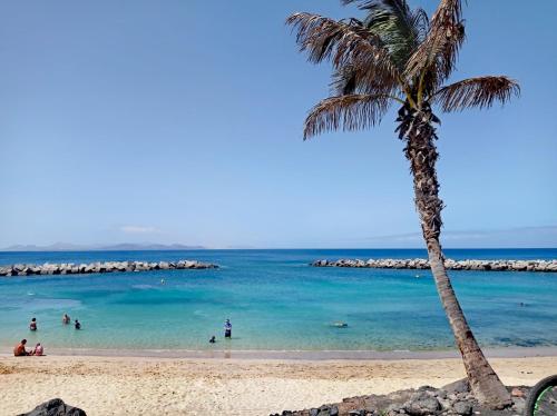 a palm tree on a beach with people in the water at Studio Paraíso - Casa Paraíso Playa Blanca in Playa Blanca