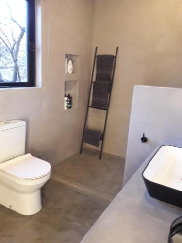 a bathroom with a white toilet and a sink at Palahala in Marloth Park