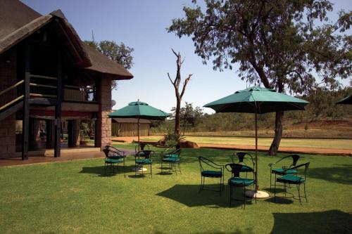 a group of chairs and umbrellas in a yard at Zebra Nature Reserve in Cullinan