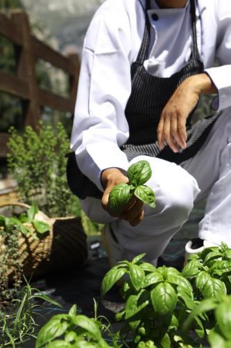 a man holding a green plant in a garden at Hotel Walser Courmayeur in Courmayeur