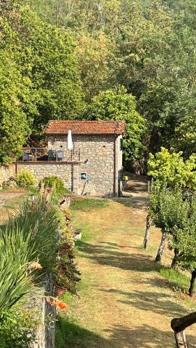 Zahrada ubytování Metato con piscina e giardino