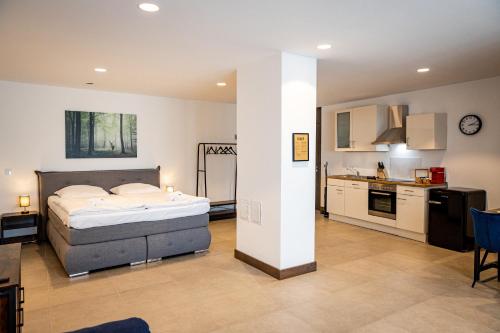 duża sypialnia z łóżkiem i kuchnią w obiekcie Servus-Apartments Direkt in der City nah am Wasser Netflix w Pasawie