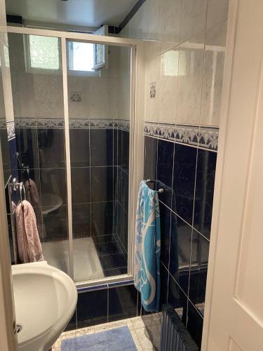 een badkamer met een douche en een wastafel bij Bel Appartement Haussmannien - Gare de Lyon in Parijs