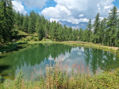 un petit lac au milieu d'une forêt dans l'établissement PUY SAINT VINCENT APPARTEMENT T2 BALCON SUPER PANORAMA AVEC PARKING PRIVE COUVERT et PISCINE L'ETE, à Puy-Saint-Vincent