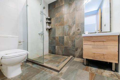 a bathroom with a shower and a toilet and a sink at Brassbell apartments in Zamalek in Cairo