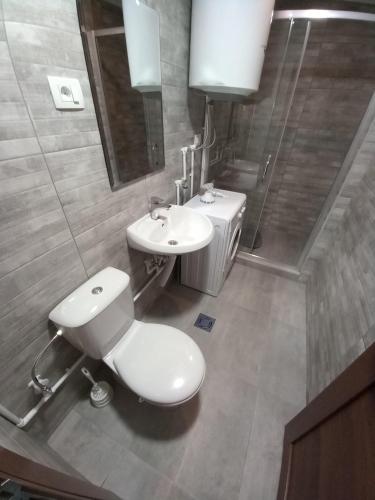 a bathroom with a toilet and a sink at Guest House RG in Žabljak