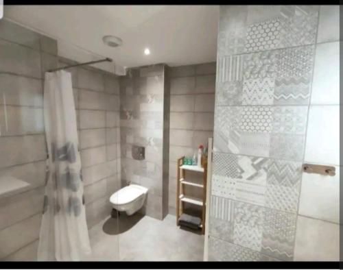 une salle de bain avec une douche, un lavabo et des toilettes dans l'établissement Appartement moderne près du lac et centre ville. Résidence les Eaux Vives., à Gérardmer