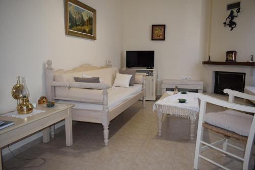 a living room with a white couch and a fireplace at Villa Helidoni in Pondikianá