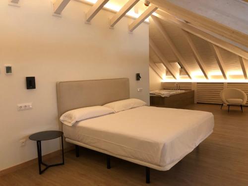 a bedroom with a bed and a desk in a room at HOTEL MONTE PERDIDO in Bielsa