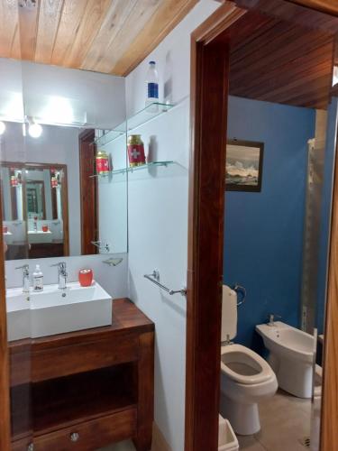 bagno con lavandino e servizi igienici di La Cabaña de Perla - Hermosas Vistas a San Martín de los Andes