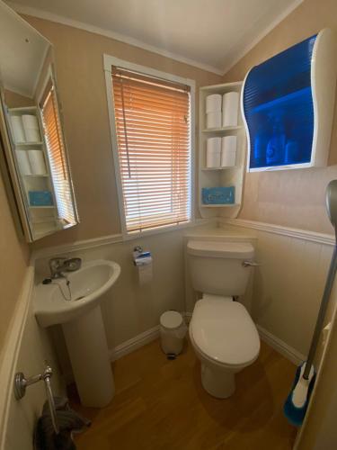 een kleine badkamer met een toilet en een wastafel bij Résidence de vacances soleiluna in Rocbaron