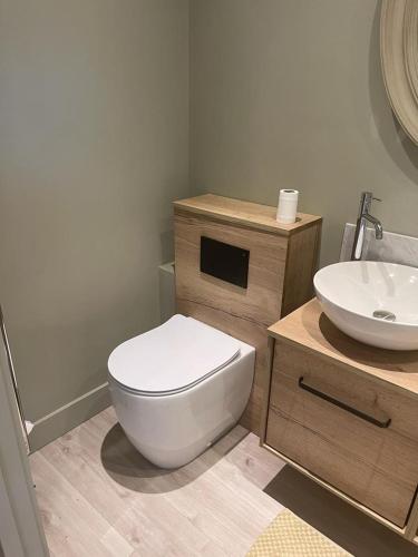 uma casa de banho com um WC branco e um lavatório. em Garden Studio em Newbury