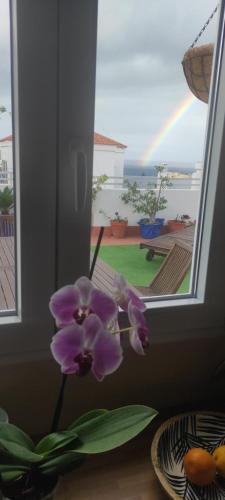 聖克魯斯－德拉帕爾馬的住宿－Ático El Marquito，坐在窗前桌子上的紫色花