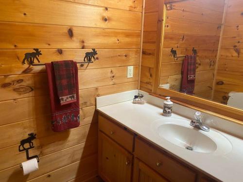 a bathroom with a sink and a mirror at Hibernation Hideaway in Blairsville