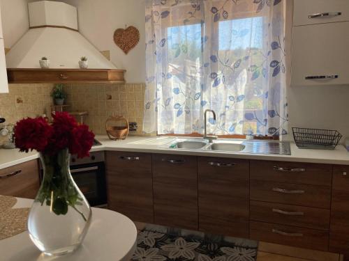 una cocina con un jarrón con flores rojas. en La Rosa del lago, en Bracciano