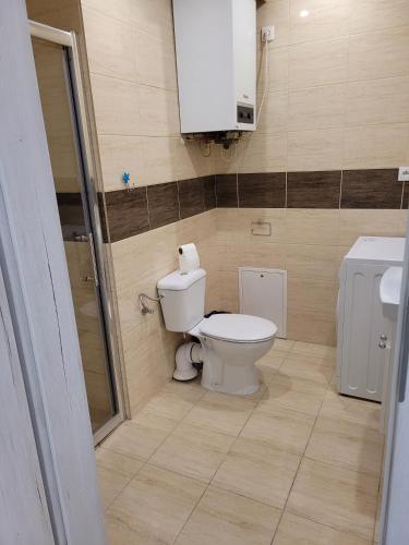 a bathroom with a toilet and a sink at Kobierska 8 Mieszkanie 2 in Krotoszyn