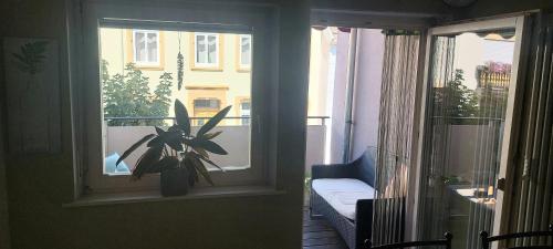 a window with a plant in a vase on it at le cadeau in Wincheringen