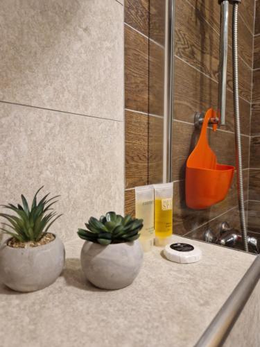 コパオニクにあるApartman Sky Milmari L20の浴室のカウンターに座る植物二本