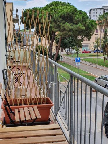 a potted plant sitting on the stairs of a balcony at Affittacamere Casa Cynda in Follonica