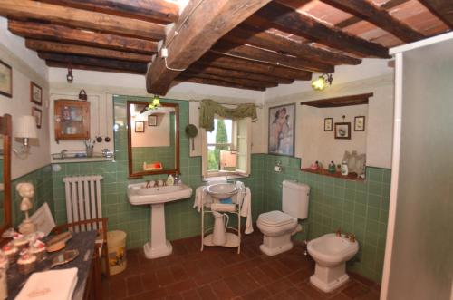 a green bathroom with a sink and a toilet at Borgo Bucatra Buonvento in Chiatri