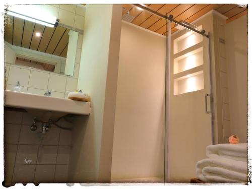 La salle de bains est pourvue d'une douche et d'un lavabo. dans l'établissement Casa Mirada, à Trin