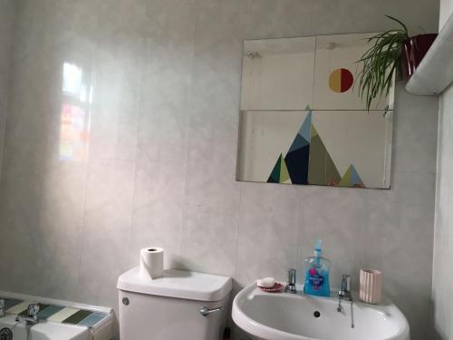 a bathroom with a toilet and a sink and a mirror at Wonderfully Cosy 3BD Home in the Heart of Cornwall in St Austell