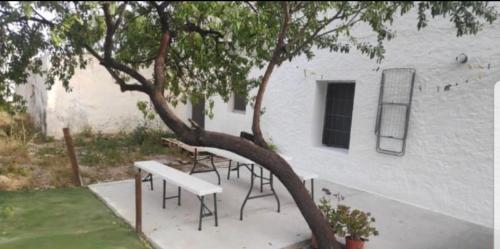Κήπος έξω από το Casa Mirador a la Atalaya