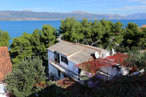 Fotografia z galérie ubytovania Apartments by the sea Arbanija, Ciovo - 18624 v Trogiri