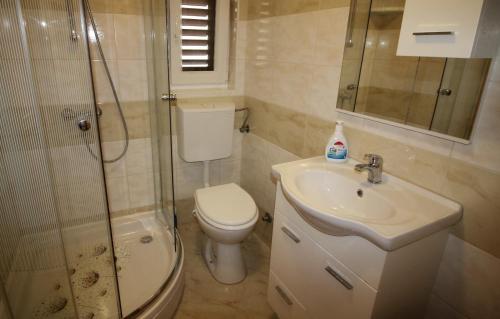 uma casa de banho com um WC, um lavatório e um chuveiro em Apartments with a parking space Punta kriza, Cres - 18644 em Nerezine