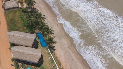 an overhead view of a beach with palm trees and the ocean at RCH LUXURY HOTEL & POOL in Dibulla