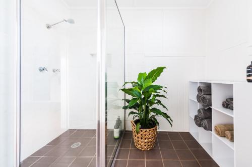 a bathroom with a plant in the shower at Pinkerton House in Koorawatha