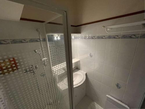 une salle de bain avec toilettes et douche en verre dans l'établissement Appartement 2 pièces cabine à 700m du village - Praz-Sur-Arly - 6 pers - Ski et lac prox. - FR-1-603-61, à Praz-sur-Arly