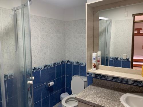 La salle de bains est pourvue de toilettes, d'un lavabo et d'un miroir. dans l'établissement Finca Santa Monica Guatape Privada Lujosa Piscina Jacuzzi Sauna muelle Represa jetski planchon, à Guatapé