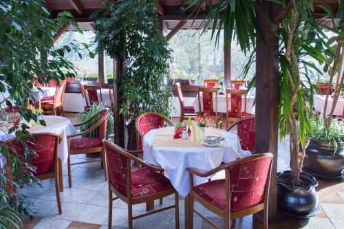 a dining room with tables and chairs and plants at Pension Inge in Vyšší Brod