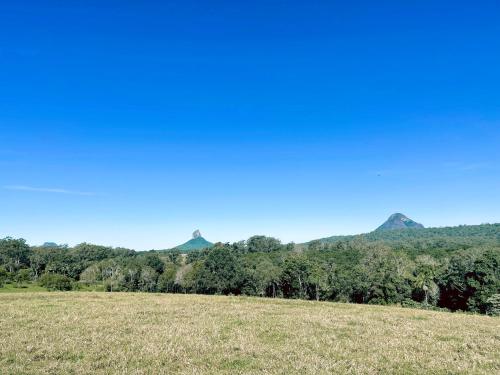 a field with trees and mountains in the background at Seven Peaks Farm Stay in Beerwah