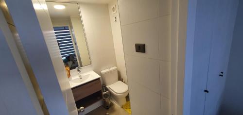 a bathroom with a toilet and a sink and a mirror at SE ARRIENDA DPTO NUEVO X DIA AMOBLADO 1DORMITORIO 1 BAÑO CENTRO DE VALDIVIA in Valdivia