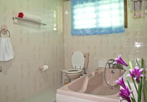 Villa de Roses tesisinde bir banyo