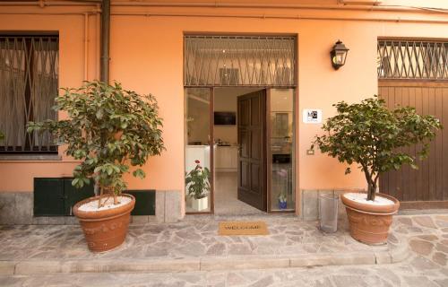 two trees in large pots in front of a building at Monza City Rooms & Studios in Monza
