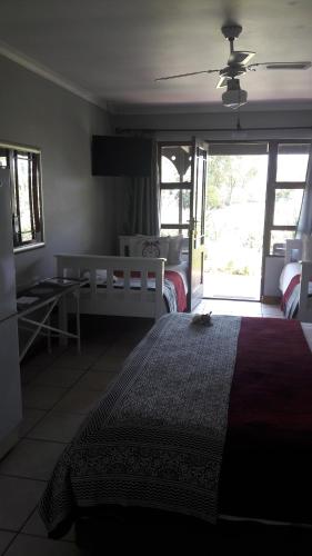 a bedroom with a bed and a desk and windows at African Sun Guest House in Molen Drift