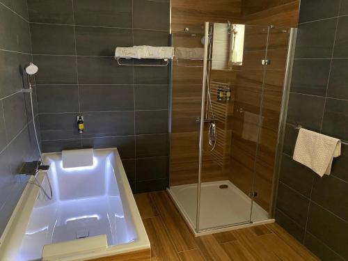 a bathroom with a shower and a bath tub at Penzion Excellent in Stříbro