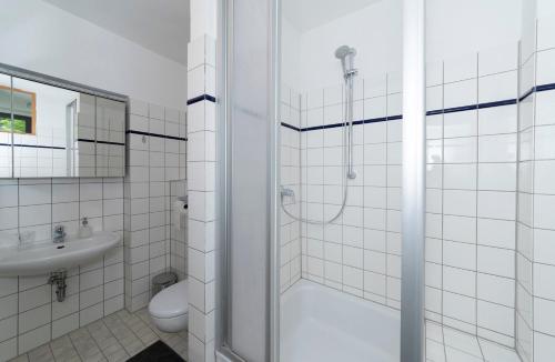 a bathroom with a shower and a toilet and a sink at Wildbach Appartement in Ober-Hambach