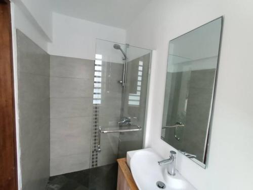 a bathroom with a sink and a shower with a mirror at Surf house holidays in Baie du Cap