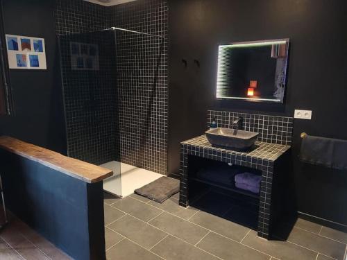 een badkamer met een wastafel en een douche bij Appartement de charme dans ancienne cave à vin in Le Boulou